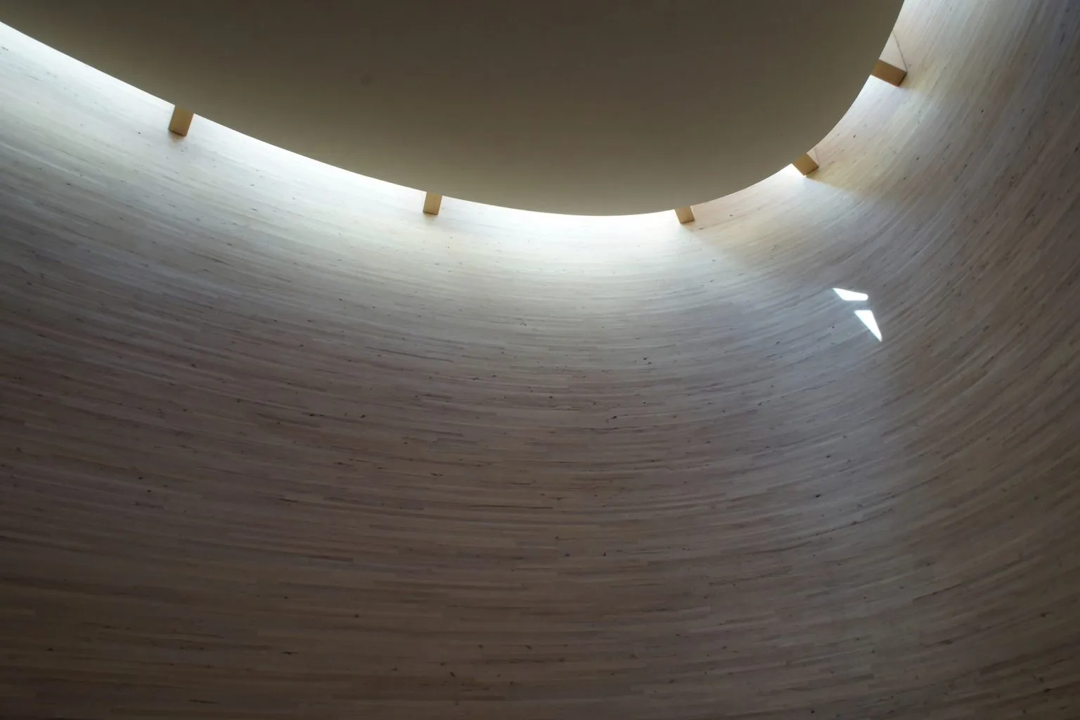 A curved timber wall rising toward light from an overhead opening - the shape of a recovery done properly